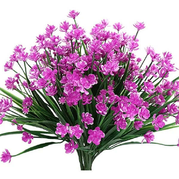 Nature-Inspired Wonder