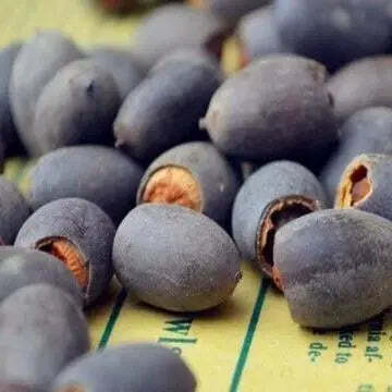 Cultivate Natural Beauty