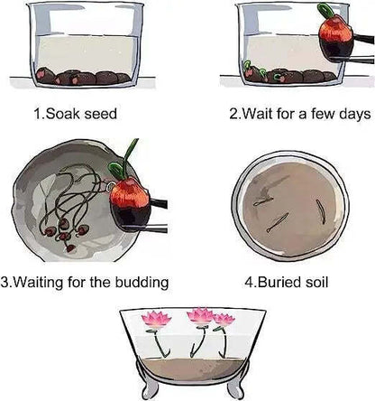 Cultivate Natural Beauty